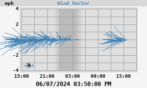 Wind Vector